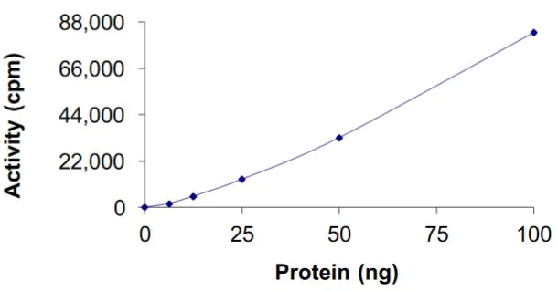 Functional Studies - Recombinant GST-TRK fused gene product-ALK fusion protein (Active) (AB269037)