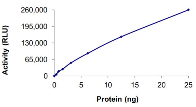 Recombinant GST-TRK fused gene product-Met (c-Met) fusion protein (Active)