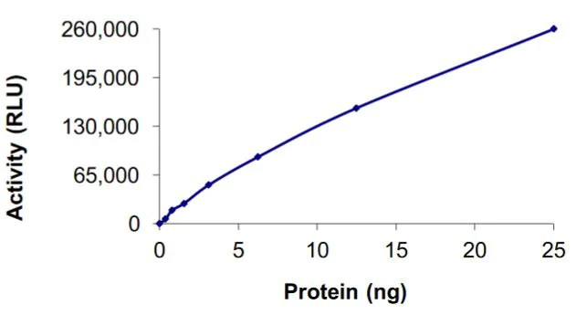 Functional Studies - Recombinant GST-TRK fused gene product-Met (c-Met) fusion protein (Active) (AB269038)