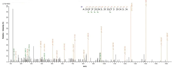 Mass Spectrometry - Recombinant Helicobacter pylori CagA protein (Tagged) (AB224836)
