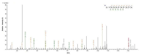 Mass Spectrometry - Recombinant Helicobacter pylori CagA protein (Tagged) (AB224836)