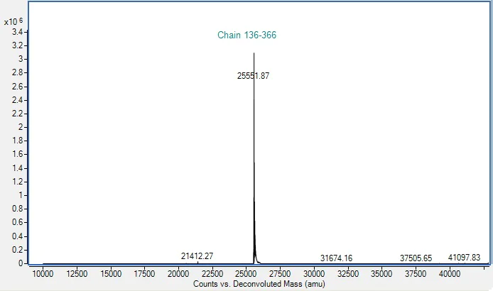 Mass Spectrometry - Recombinant HIV1 Gag protein (His-tag) (AB310318)
