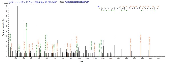 Mass Spectrometry - Recombinant HPV16 E6 protein (His tag) (AB226447), expandable thumbnail