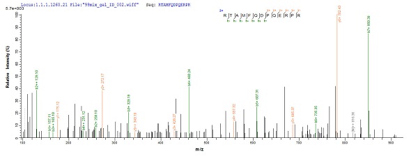 Mass Spectrometry - Recombinant HPV16 E6 protein (His tag) (AB226447), expandable thumbnail