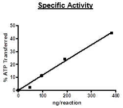 Functional Studies - Recombinant Hu Cyclin D3/CCND3 + Cdk4 protein (Active) (GST N-Term, GST N-Term + His N-Term) (AB271459)
