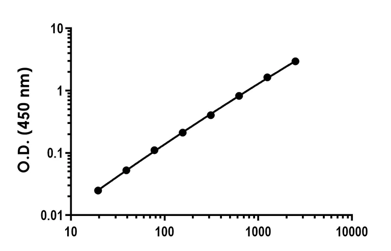 Sandwich ELISA - Recombinant Human 14-3-3 tau Protein Standard (His tag) (AB316553)