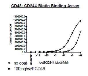 Functional Studies - Recombinant human 2B4 protein (Biotin) (Fc tag C-Terminus + Avi tag C-Terminus) (AB271416)