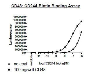Functional Studies - Recombinant human 2B4 protein (Biotin) (Fc tag C-Terminus + Avi tag C-Terminus) (AB271416)