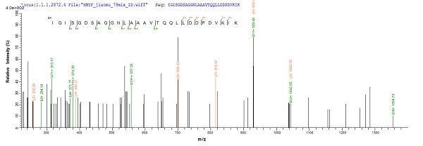 Mass Spectrometry - Recombinant Human AADAC/DAC protein (Tagged) (AB235022)