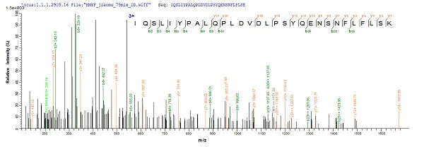 Mass Spectrometry - Recombinant Human AADAC/DAC protein (Tagged) (AB235022)