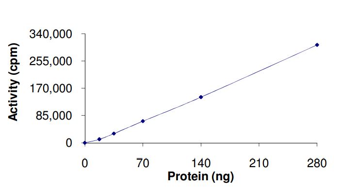 Recombinant human ABL1 (mutated E255K) protein (Active)