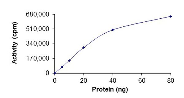 Recombinant human ABL1 (mutated E255V) protein (Active)