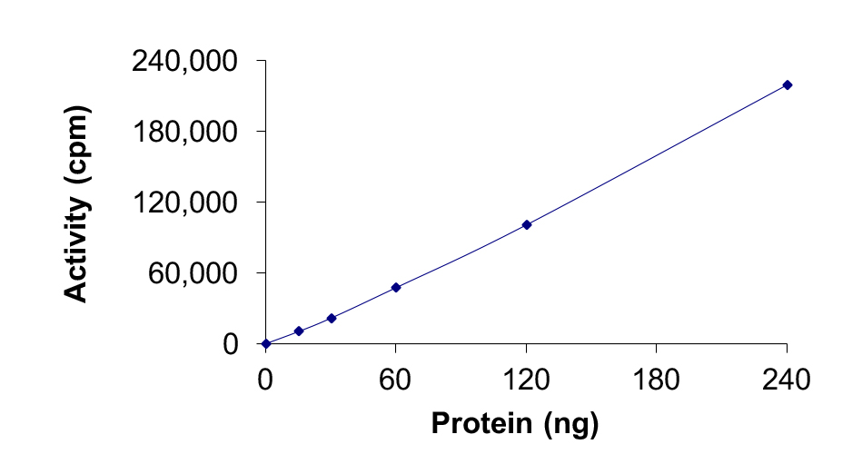 Functional Studies - Recombinant human ABL1 (mutated F317L) protein (Active) (AB206003), expandable thumbnail