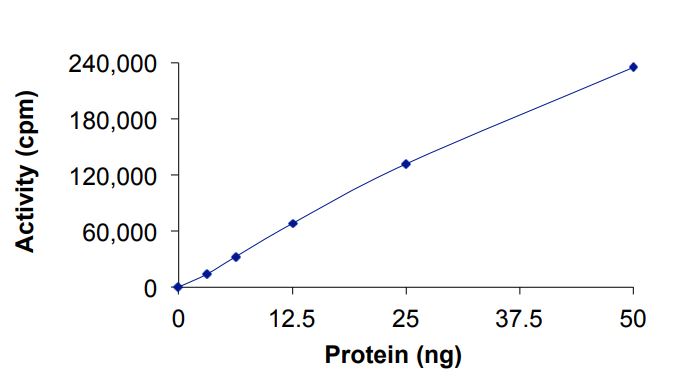 Functional Studies - Recombinant human ABL1 (mutated H396P) protein (Active) (AB268307), expandable thumbnail
