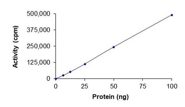 Recombinant human ABL1 (mutated M351T) protein (Active)