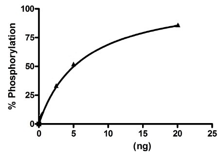 Recombinant human ABL1 (mutated T315I) protein (Active)