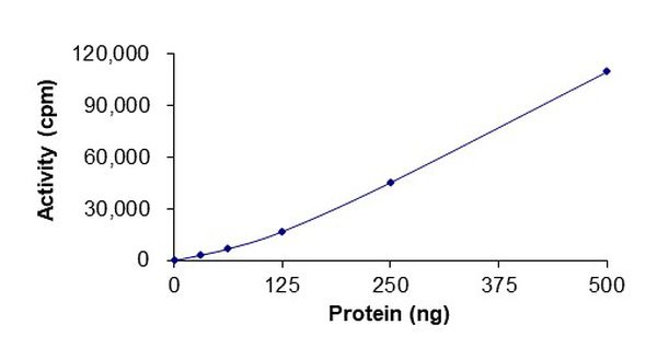 Functional Studies - Recombinant human ABL1 (mutated T315I) protein (Active) (AB268309)