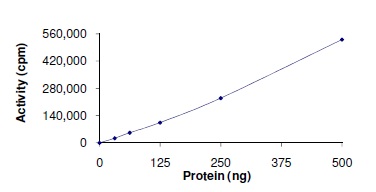 Functional Studies - Recombinant human ABL1 (mutated Y253F) protein (AB140419), expandable thumbnail