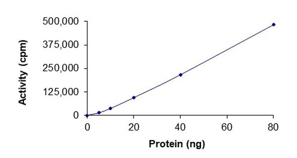 Functional Studies - Recombinant human ABL1 (mutated Y253H) protein (Active) (AB268310)