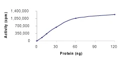 Functional Studies - Recombinant human ABL1 protein (His tag N-Terminus) (AB69810)