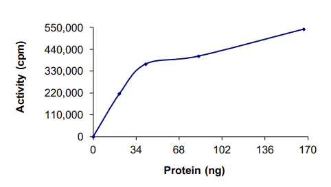 Functional Studies - Recombinant human ABL1 protein (His tag N-Terminus) (AB69810)