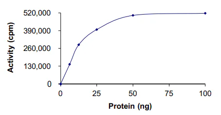 Functional Studies - Recombinant human ABL2 protein (His tag N-Terminus) (AB51259)