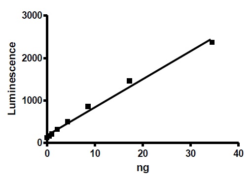Functional Studies - Recombinant human Acetyl Coenzyme A Carboxylase beta protein (Active) (AB271358)