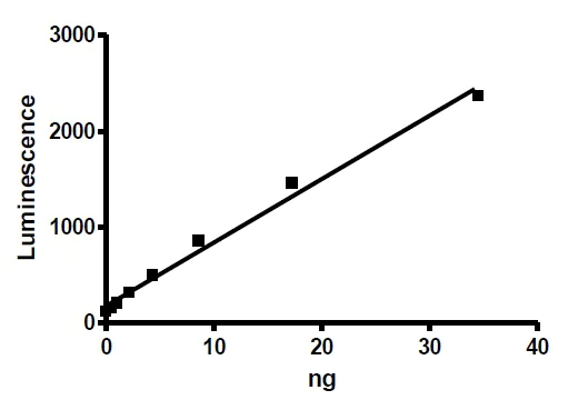 Functional Studies - Recombinant human Acetyl Coenzyme A Carboxylase beta protein (Active) (AB271358)