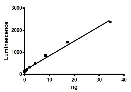 Functional Studies - Recombinant human Acetyl Coenzyme A Carboxylase beta protein (Active) (His tag C-Terminus) (AB271358)
