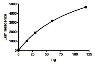 Functional Studies - Recombinant human Acetyl Coenzyme A Carboxylase protein (DDDDK tag C-Terminus + His tag C-Terminus) (AB196428)