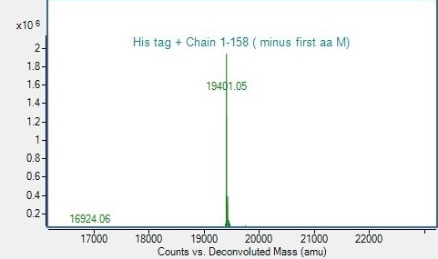 Mass Spectrometry - Recombinant Human Acid phosphatase/ACP1 Protein (Isoform 2) (His tag) (AB318250), expandable thumbnail