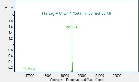 Mass Spectrometry - Recombinant Human Acid phosphatase/ACP1 Protein (Isoform 2) (His tag) (AB318250)