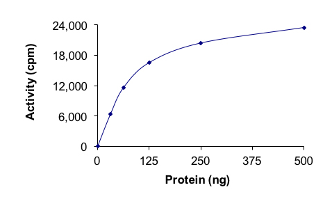 Recombinant human Activin Receptor Type IA (mutated G328E) protein (Active)