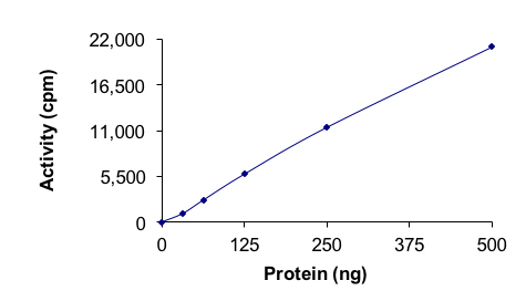 Recombinant human Activin Receptor Type IA (mutated G328V) protein (Active)
