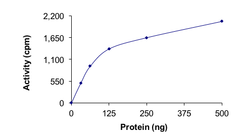 Recombinant human Activin Receptor Type IA (mutated G356D) protein (Active)