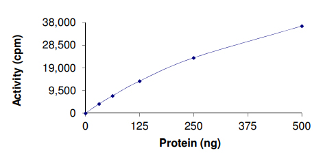 Recombinant human Activin Receptor Type IA (mutated R206H) protein