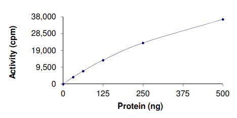 Functional Studies - Recombinant human Activin Receptor Type IA (mutated R206H) protein (AB167922)