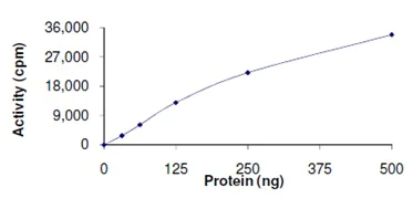 Functional Studies - Recombinant human Activin Receptor Type IA (mutated R206H) protein (AB167922)