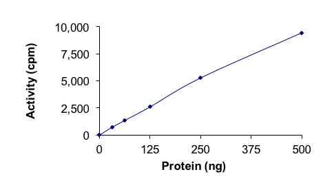 Recombinant human Activin Receptor Type IA (mutated R258G) protein (Active)