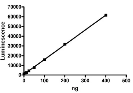 Functional Studies - Recombinant human Activin Receptor Type IA protein (Active) (AB271360)