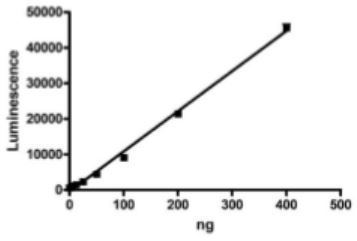 Functional Studies - Recombinant Human Activin Receptor Type IA protein (Active) (Biotin) (AB271359)