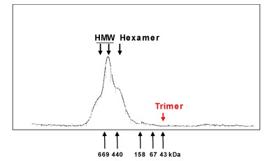 Functional Studies - Recombinant human Adiponectin protein (AB157078), expandable thumbnail
