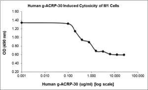 Functional Studies - Recombinant human Adiponectin protein (AB78588)