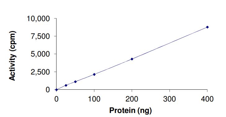 Recombinant human AKT2 (mutated R274H) protein (Active)