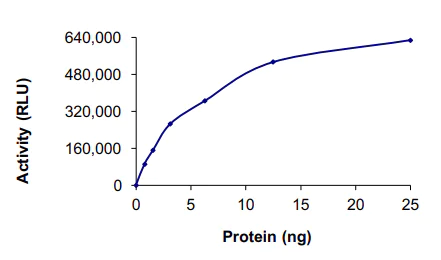 Functional Studies - Recombinant human AKT2 protein (AB60322)