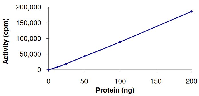 Recombinant human AKT2 protein (Active)