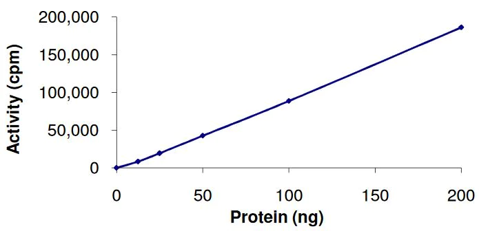 Functional Studies - Recombinant human AKT2 protein (Active) (AB268317)