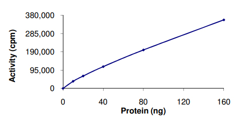 Recombinant human AKT3 protein