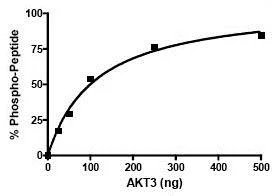 Functional Studies - Recombinant human AKT3 protein (His tag N-Terminus) (AB79799)