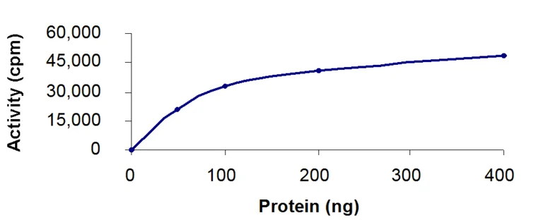 Functional Studies - Recombinant human ALK-1 protein (AB70317)